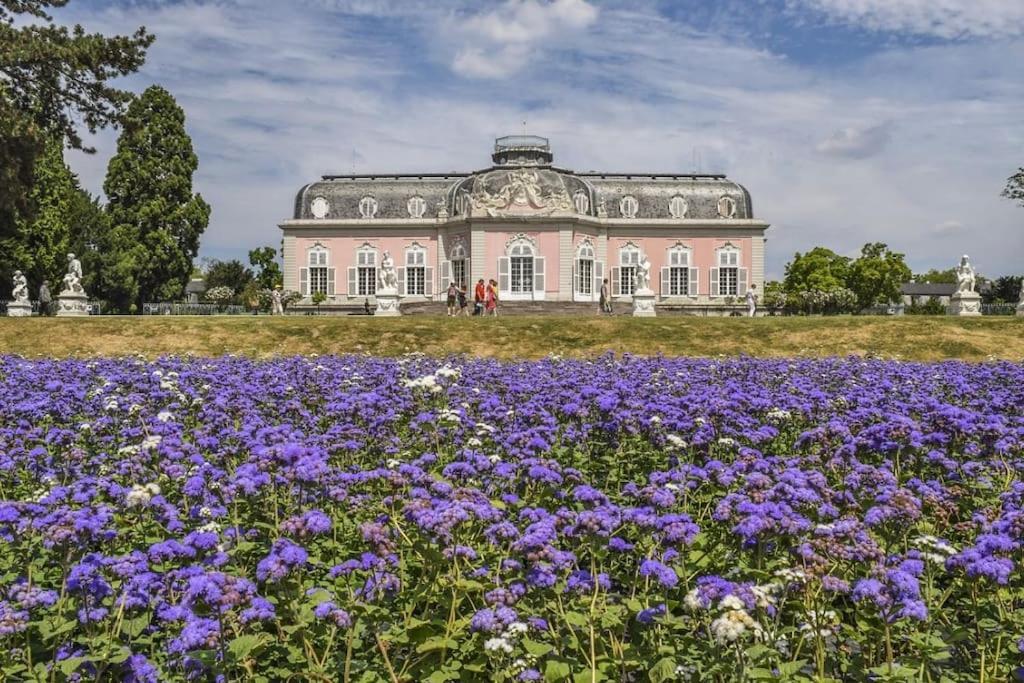 Gemuetliche Naehe Schloss Benrath & Rhein Urdenbach Apartment